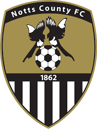 https://img.aarrys.com/img/football/team/9e230c89a846b9cadf91884918fa7611.png